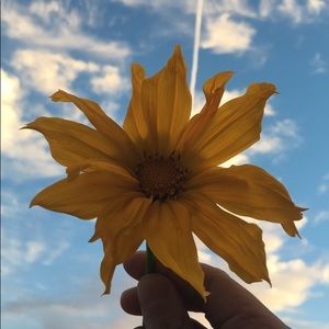 Meet your Posher, Anissa